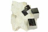 Wide, Natural Pyrite Cubes In Rock - Navajun, Spain #94334-3